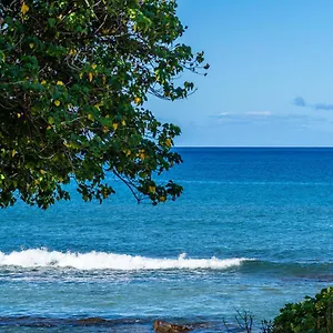 Hale Kai 208 Kahana